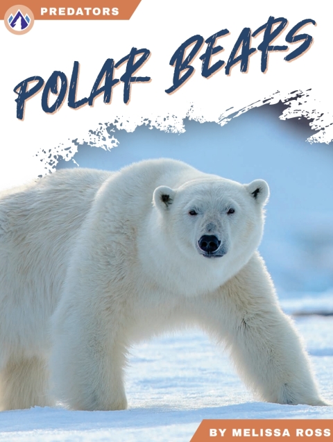 Polar Bears